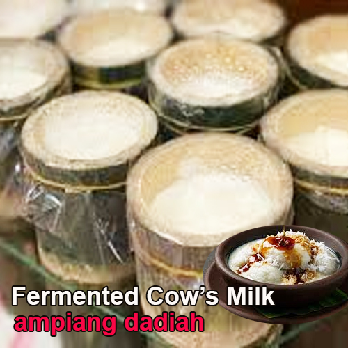 Ampiang Dadiah- Per tabung bambu